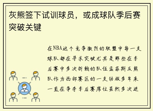 灰熊签下试训球员，或成球队季后赛突破关键